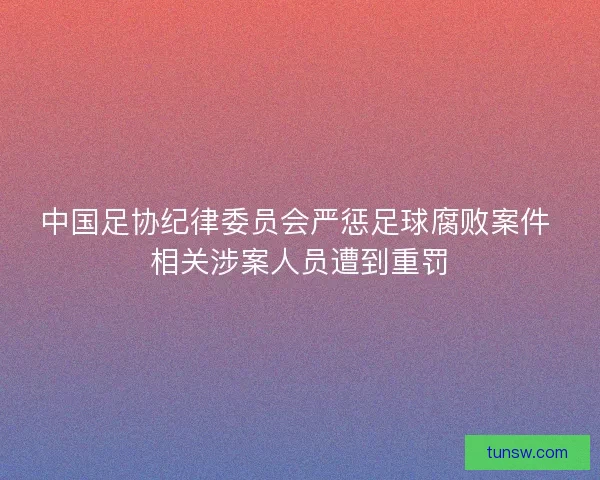 中国足协纪律委员会严惩足球腐败案件 相关涉案人员遭到重罚